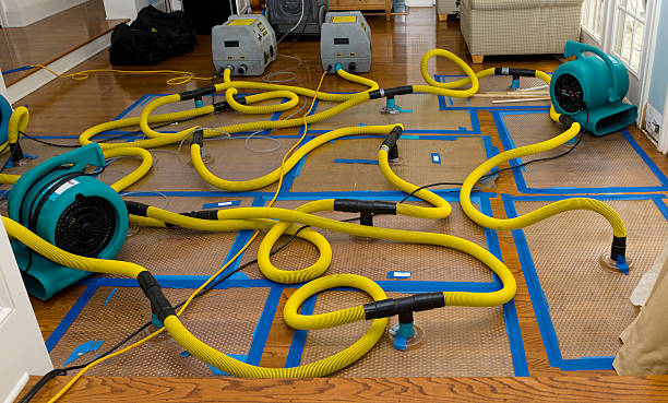 Professional Sewage Cleanup technician working in Fruitport, MI
